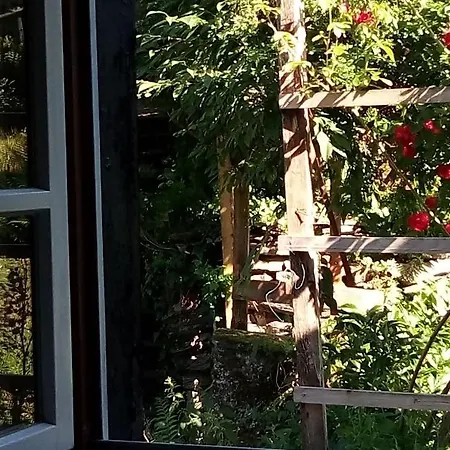 Haus Am Oberen Muehlenberg Mit Gartennutzung *