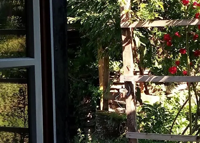 Haus Am Oberen Muehlenberg Mit Gartennutzung *